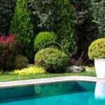 The Ultimate Guide to Pruning Your Plants